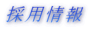 �̗p���
